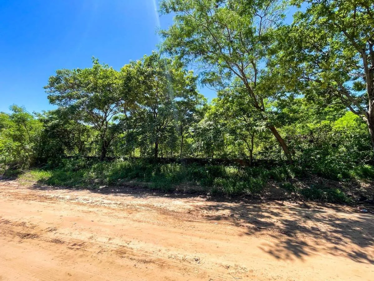 Terreno de 6.598 m² en Este — foto 4
