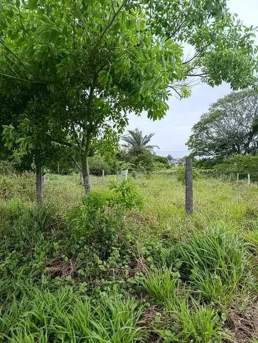 Terreno de 300 m² en Satelite norte — foto 3