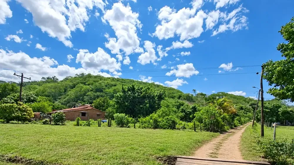 Terreno de 38.283 m² en El Torno — foto 4
