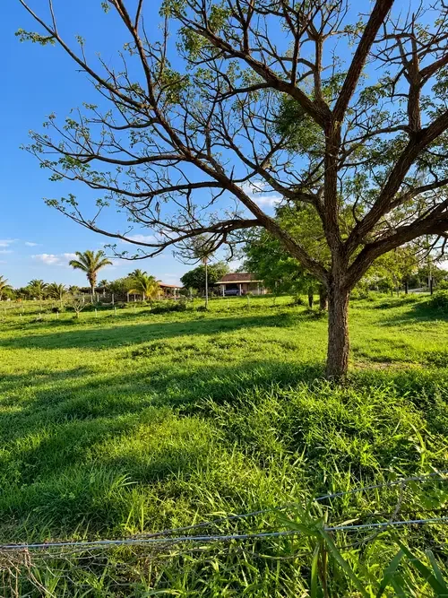 Terreno de 1.437 m² en Colpa Bélgica — foto 4