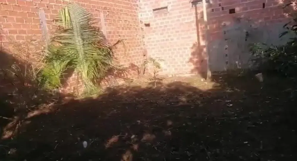 Casa de 2 dormitorios en Concepcion — foto 3