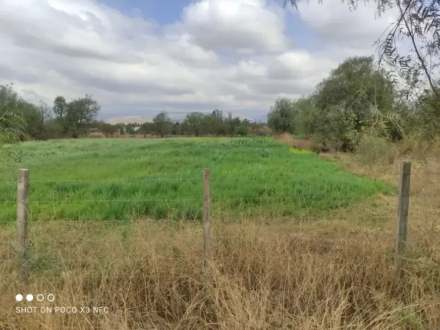 Terreno de 1.088 m² en San Lorenzo