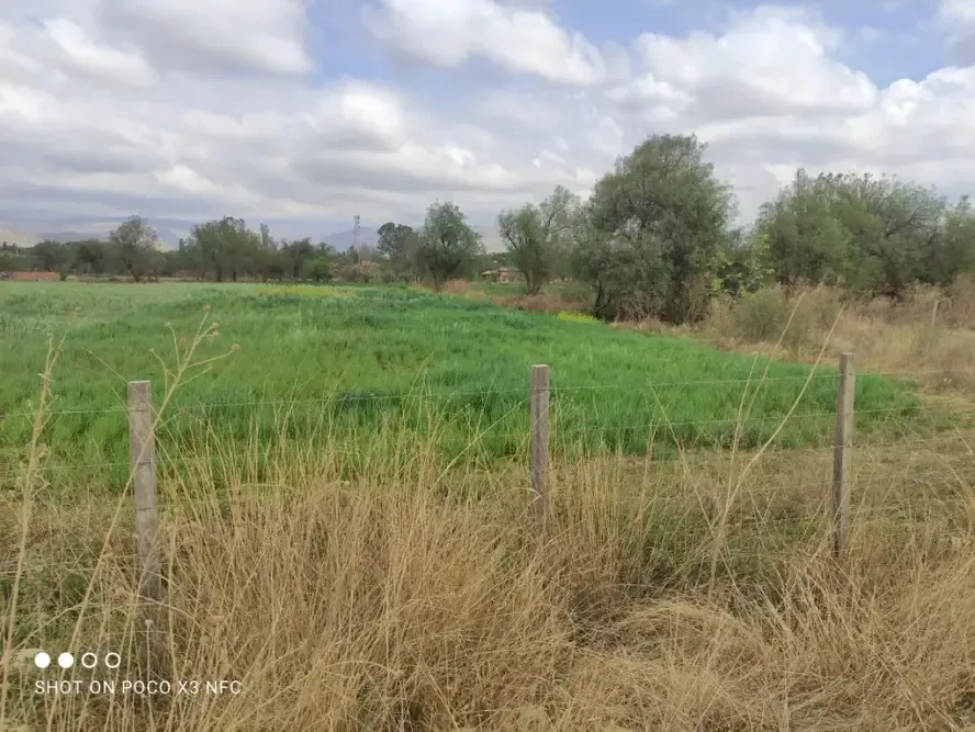 Terreno de 1.088 m² en San Lorenzo — foto 4